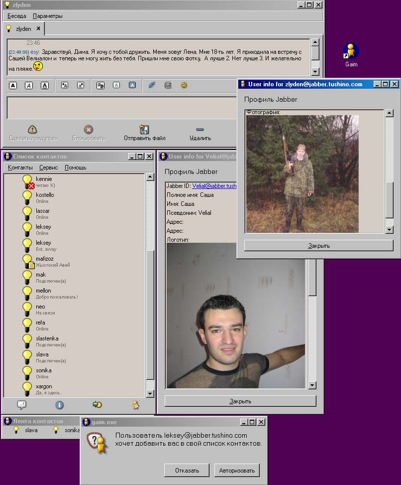 Gaim-sreenshot.jpg